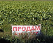 МЕРТ пропонує скасувати експертну оцінку при продажу земельних ділянок